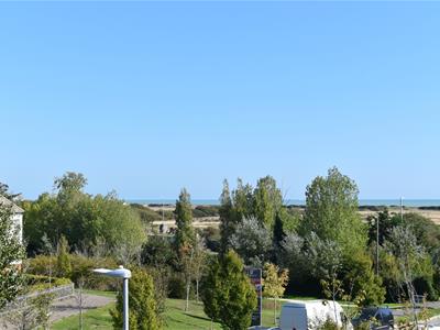 Picture 28